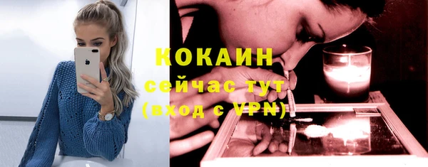 гашик Арсеньев