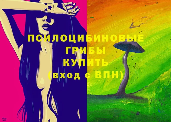 гашик Арсеньев