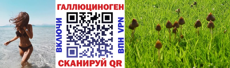 Псилоцибиновые грибы Psilocybine cubensis  наркота  Моздок 