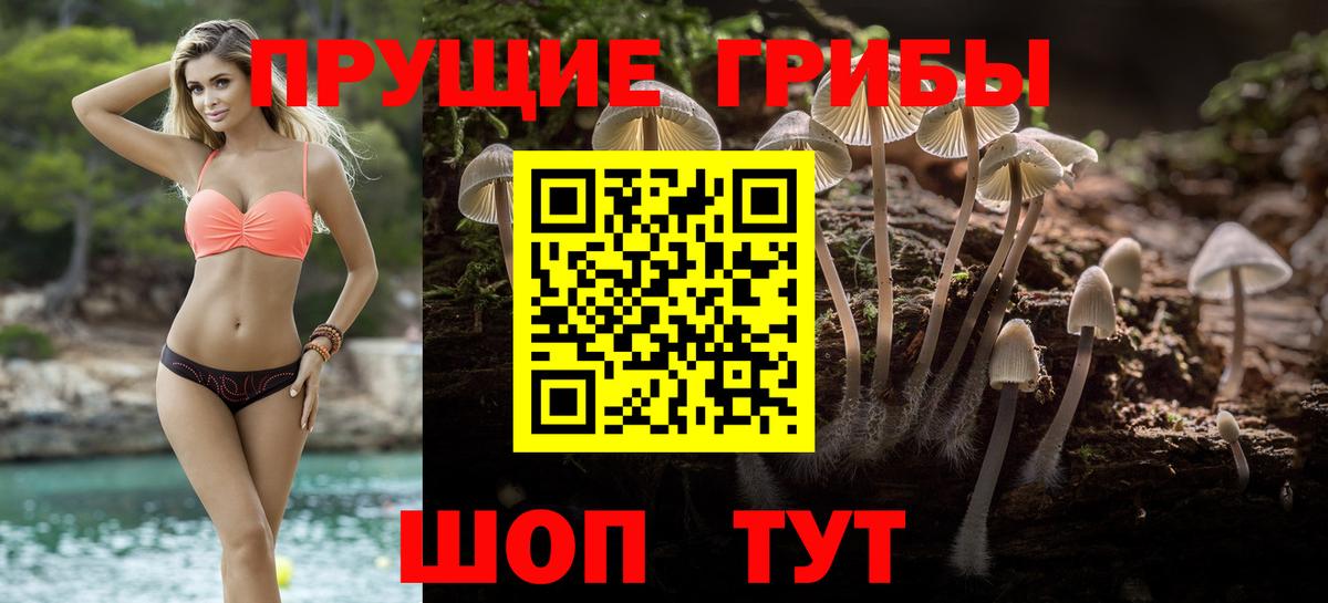 Псилоцибиновые грибы ЛСД  Вход с VPN  Моздок  Галлюциногенные грибы Psilocybe 